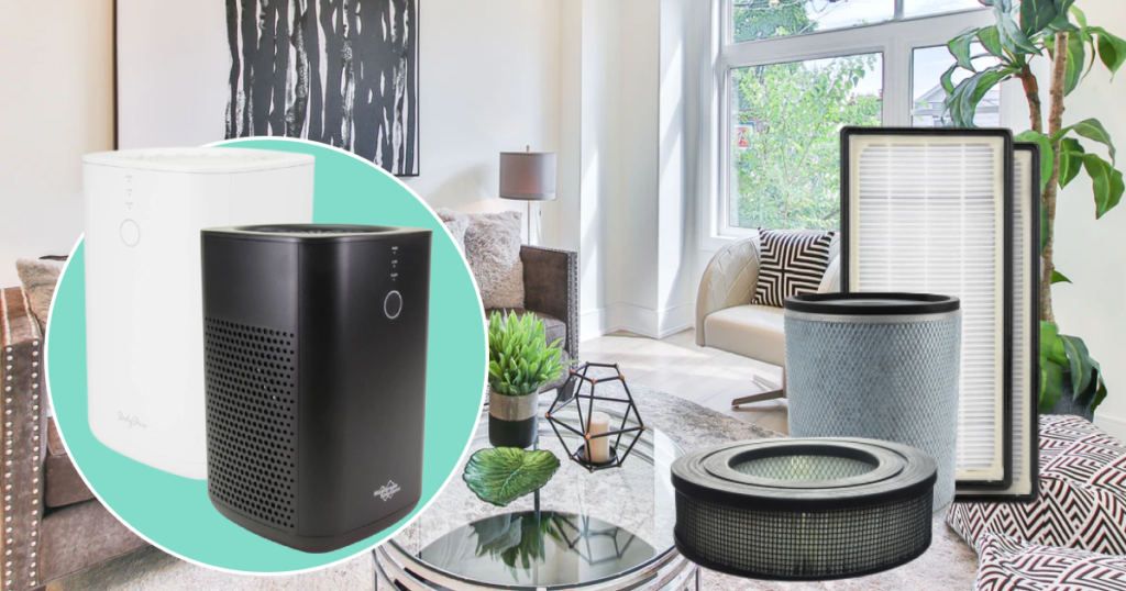 a portable air filter to help with indoor allergens 