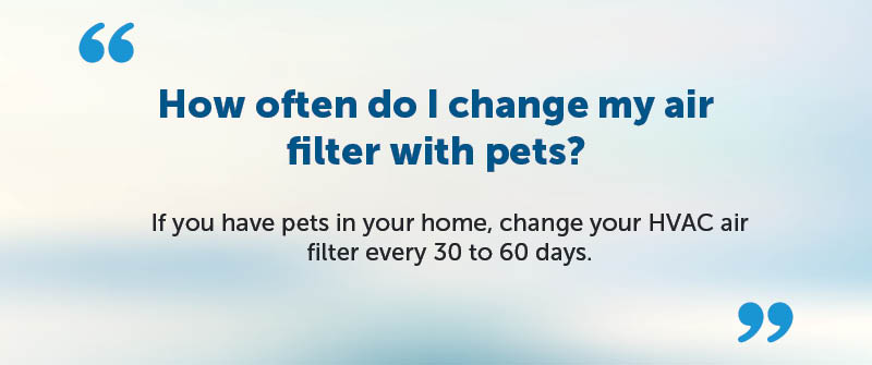 How often do I change my air filter with pets?