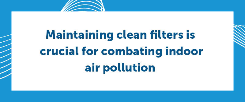 Can I Just Clean My Air Purifier Filter